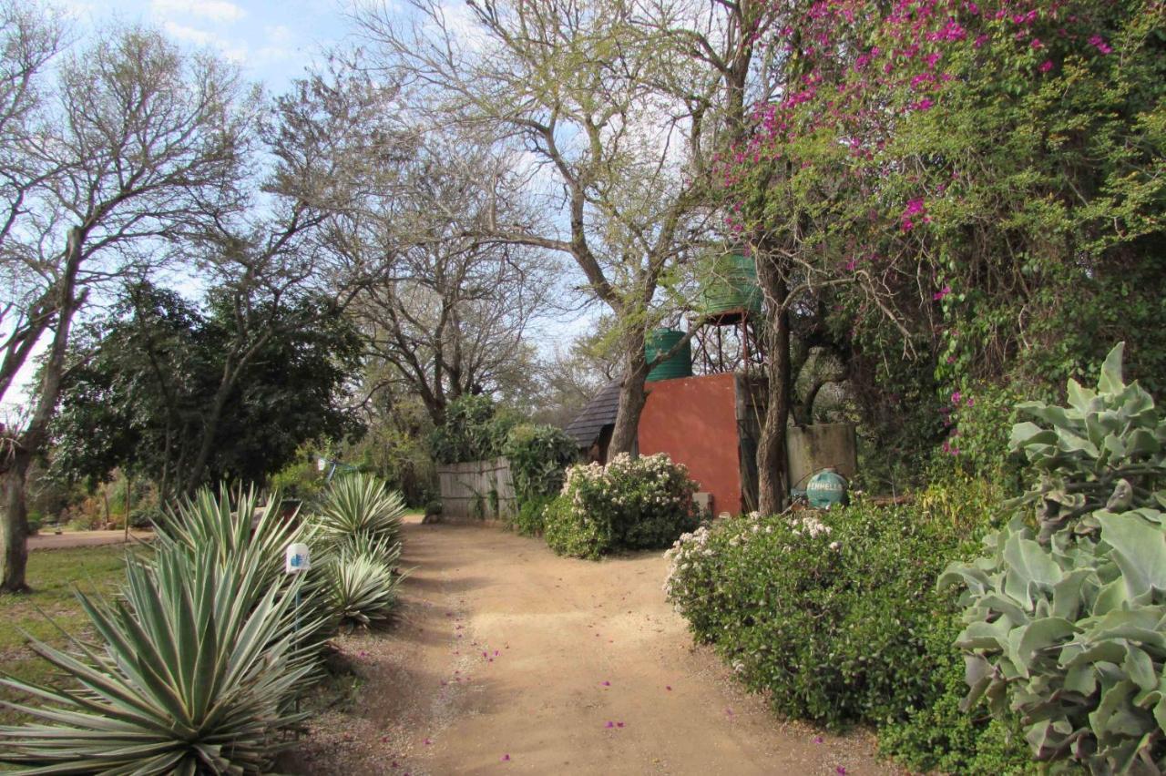 Amanzimlotzi Riverside Bush Camp Hoedspruit Exteriör bild
