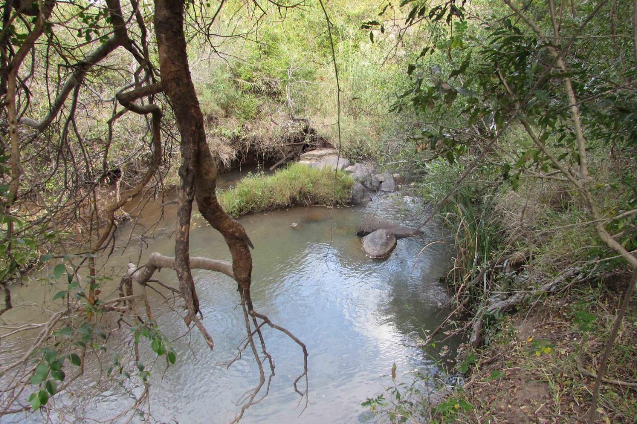 Amanzimlotzi Riverside Bush Camp Hoedspruit Exteriör bild