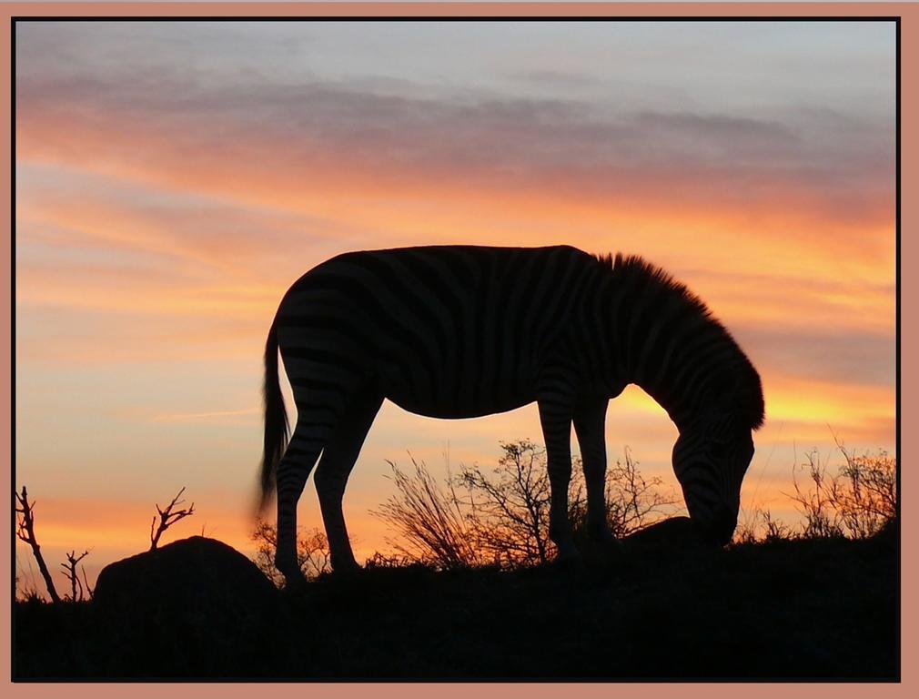 Amanzimlotzi Riverside Bush Camp Hoedspruit Exteriör bild