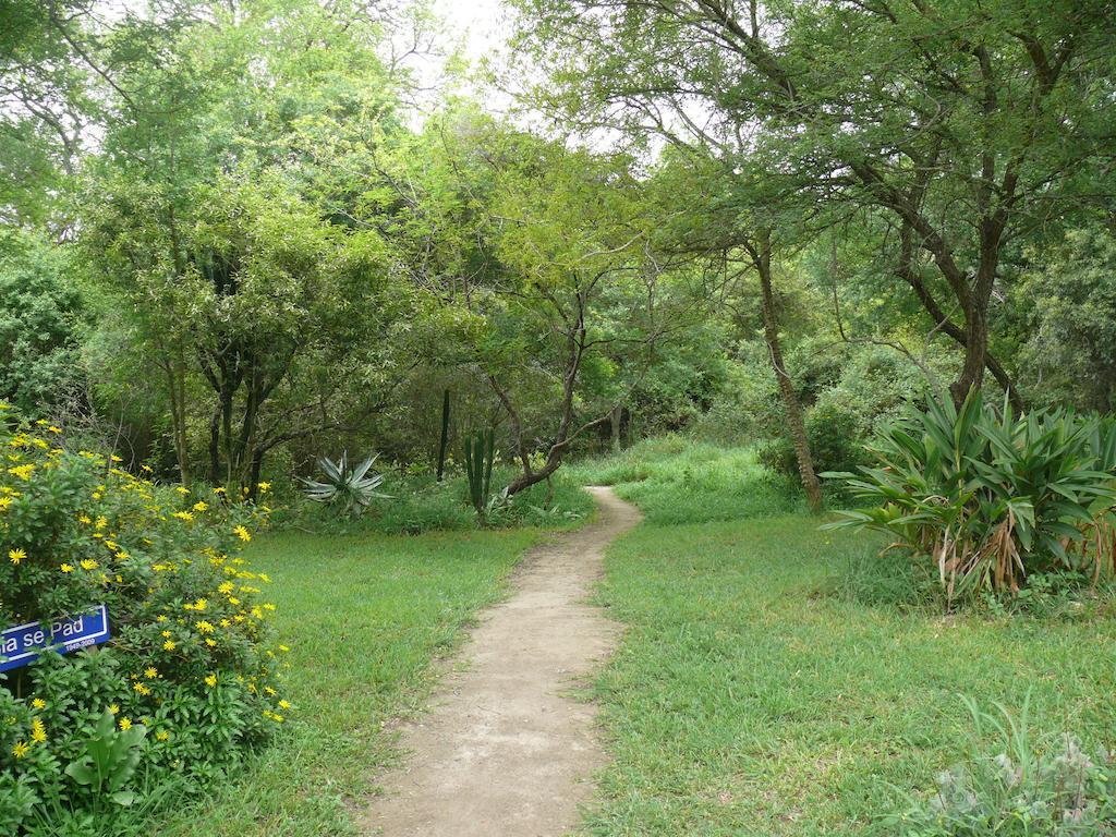Amanzimlotzi Riverside Bush Camp Hoedspruit Rum bild