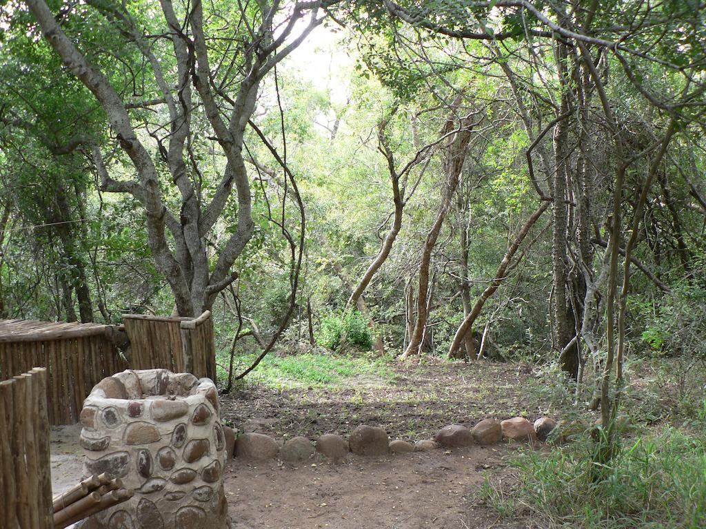 Amanzimlotzi Riverside Bush Camp Hoedspruit Rum bild