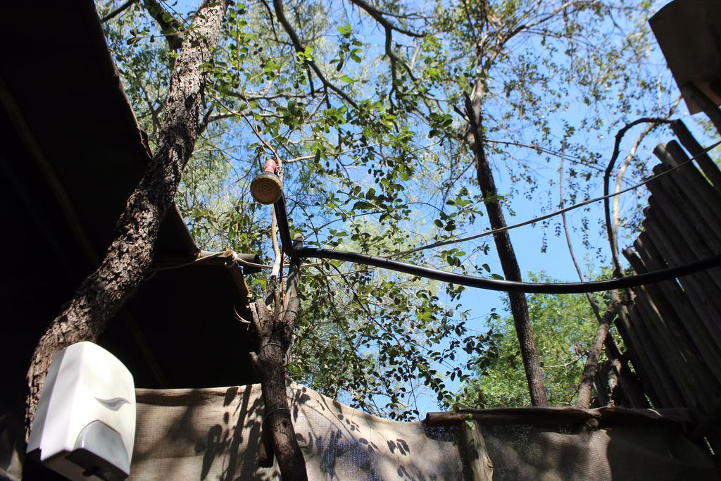 Amanzimlotzi Riverside Bush Camp Hoedspruit Exteriör bild