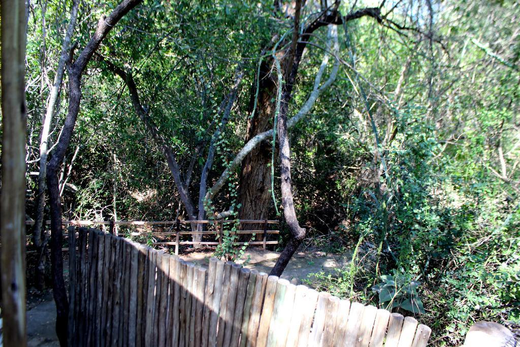 Amanzimlotzi Riverside Bush Camp Hoedspruit Exteriör bild