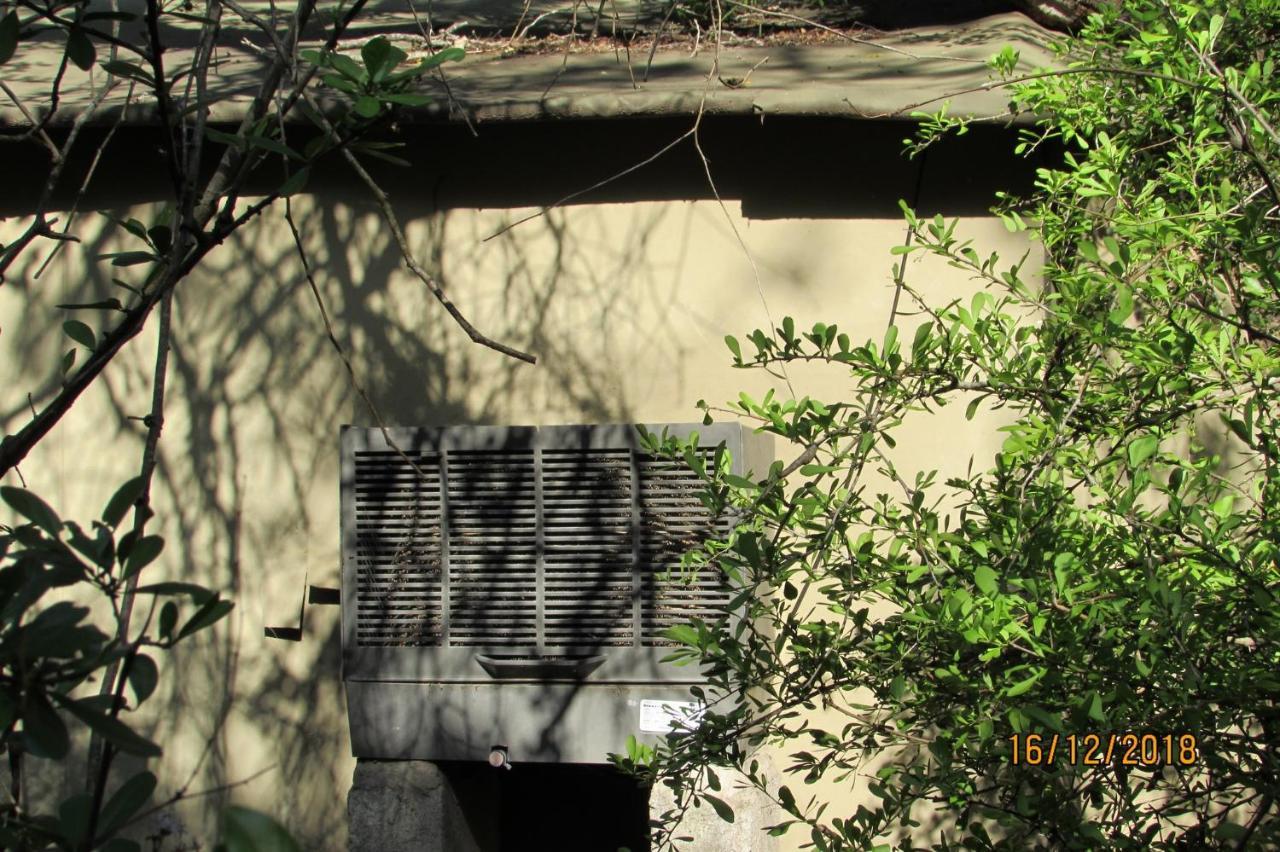 Amanzimlotzi Riverside Bush Camp Hoedspruit Exteriör bild