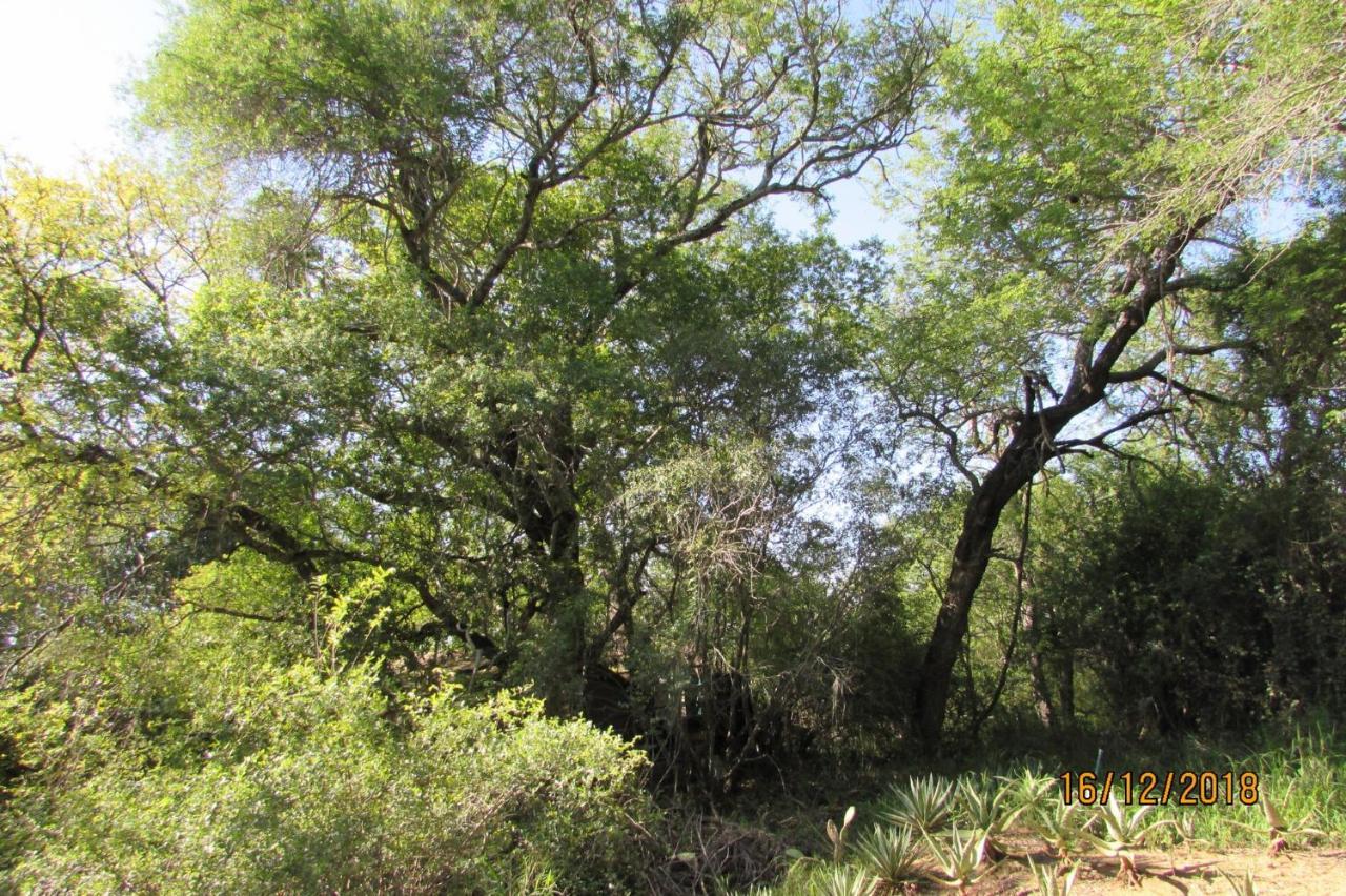 Amanzimlotzi Riverside Bush Camp Hoedspruit Exteriör bild