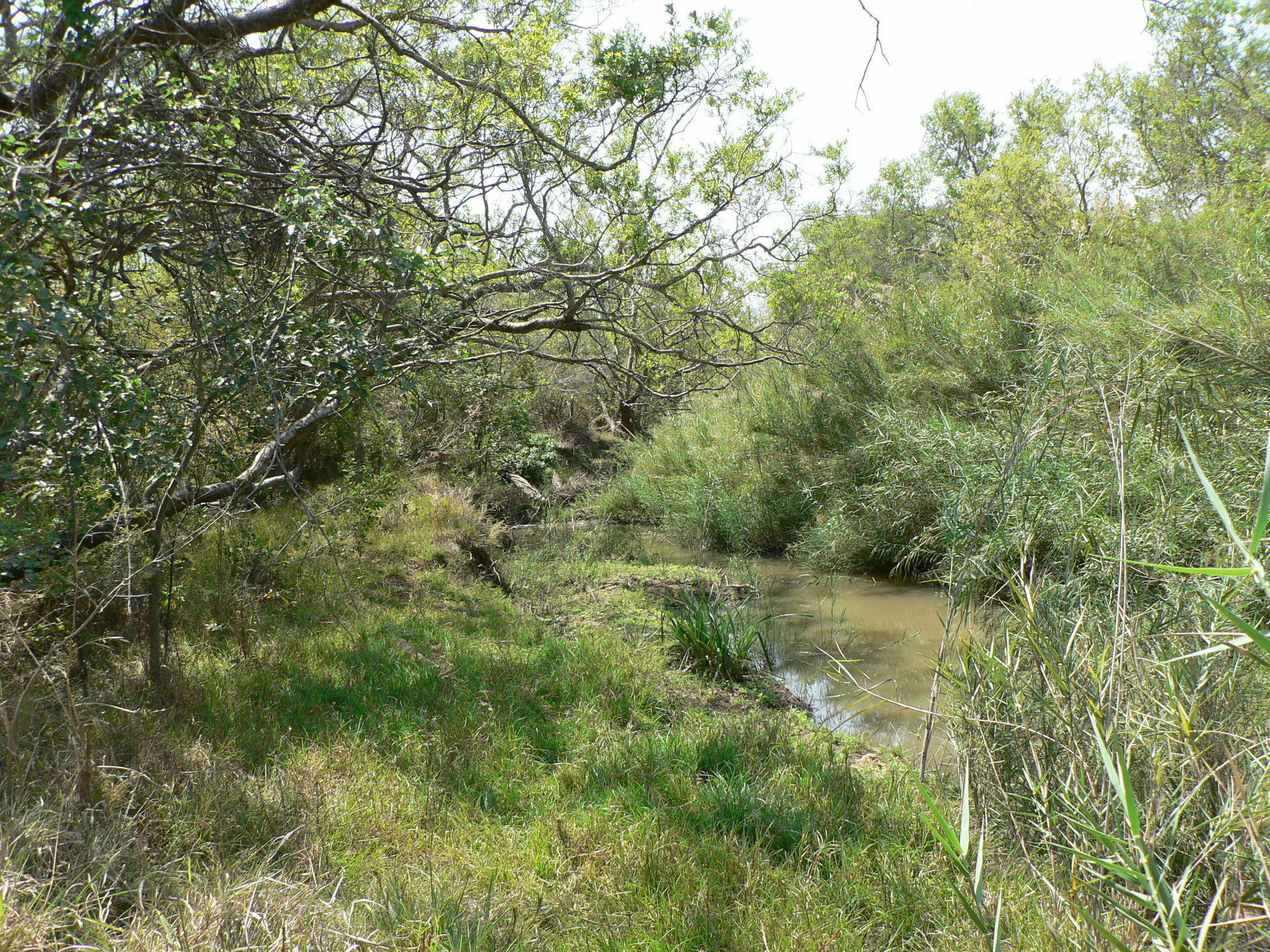 Amanzimlotzi Riverside Bush Camp Hoedspruit Exteriör bild