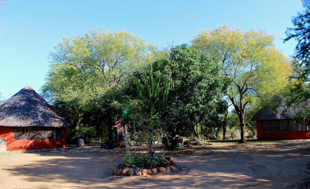 Amanzimlotzi Riverside Bush Camp Hoedspruit Exteriör bild